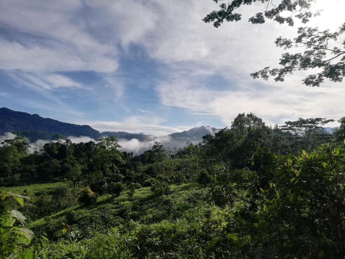 Sunil'S Homestay Sinharaja Kalawana 外观 照片