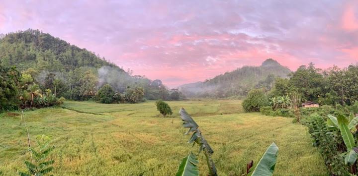 Sunil'S Homestay Sinharaja Kalawana 外观 照片